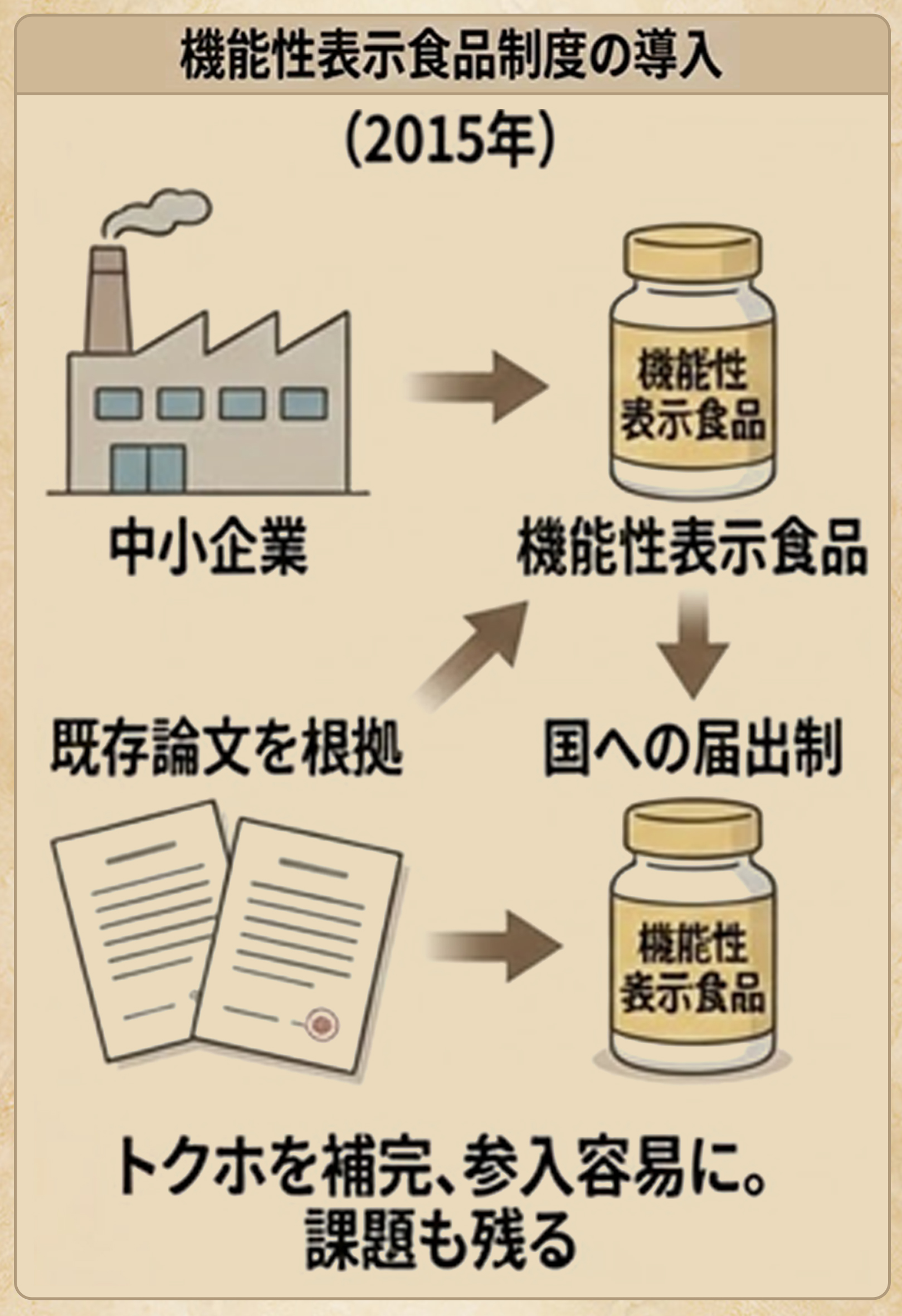 発展期Ⅱ（機能性表示食品制度創設～現在）